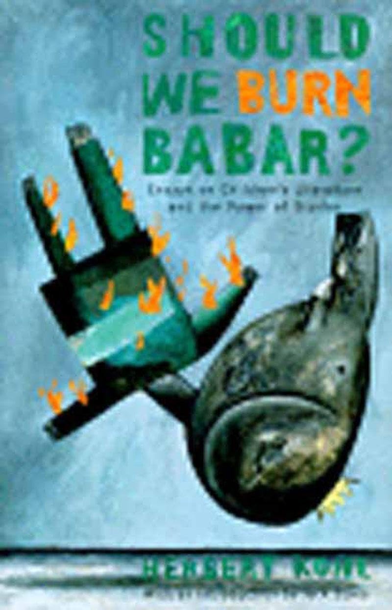 Should We Burn Babar?: Essays on Children's Literature and the Power of Stories book cover