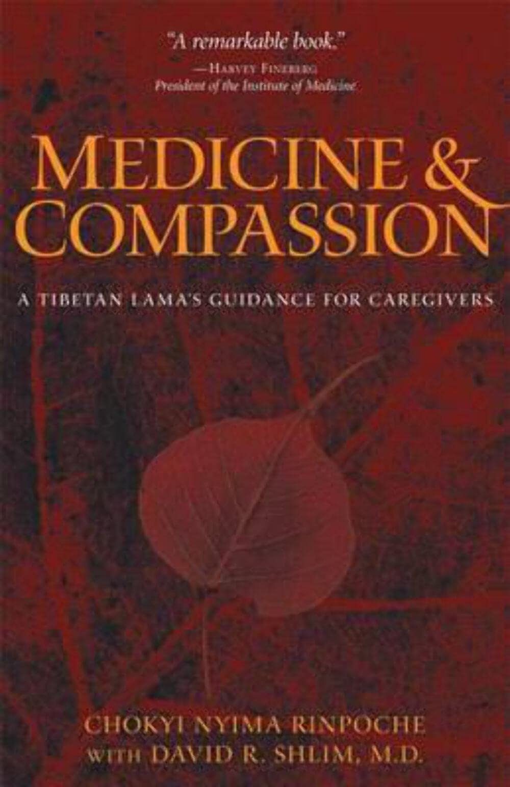 Medicine & Compassion: A Tibetan Lama's Guidance for Caregivers