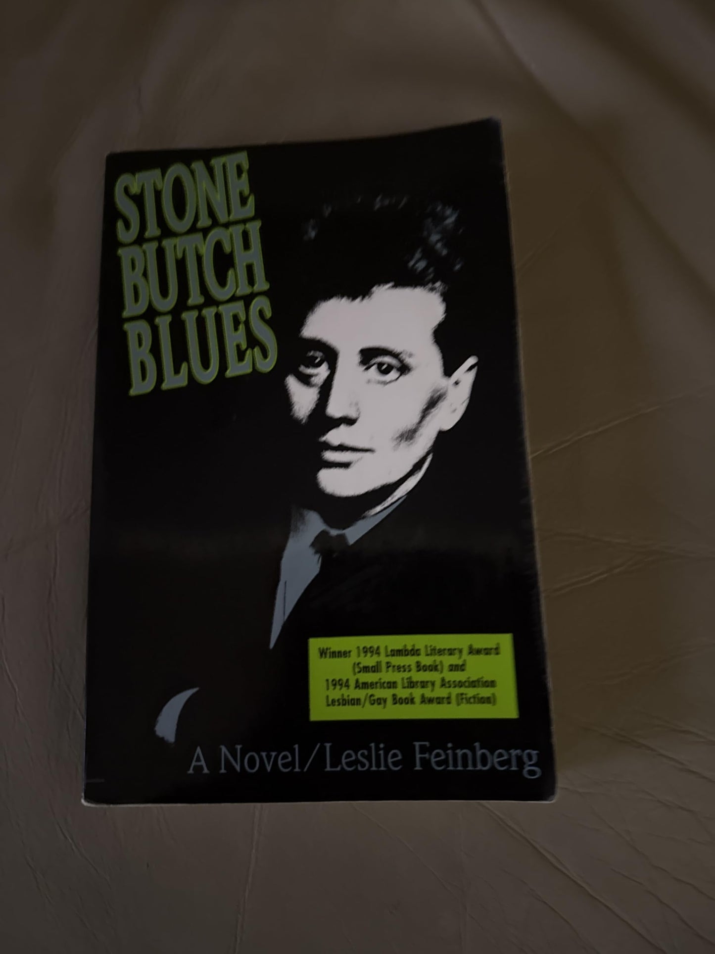 Stone Butch Blues book cover