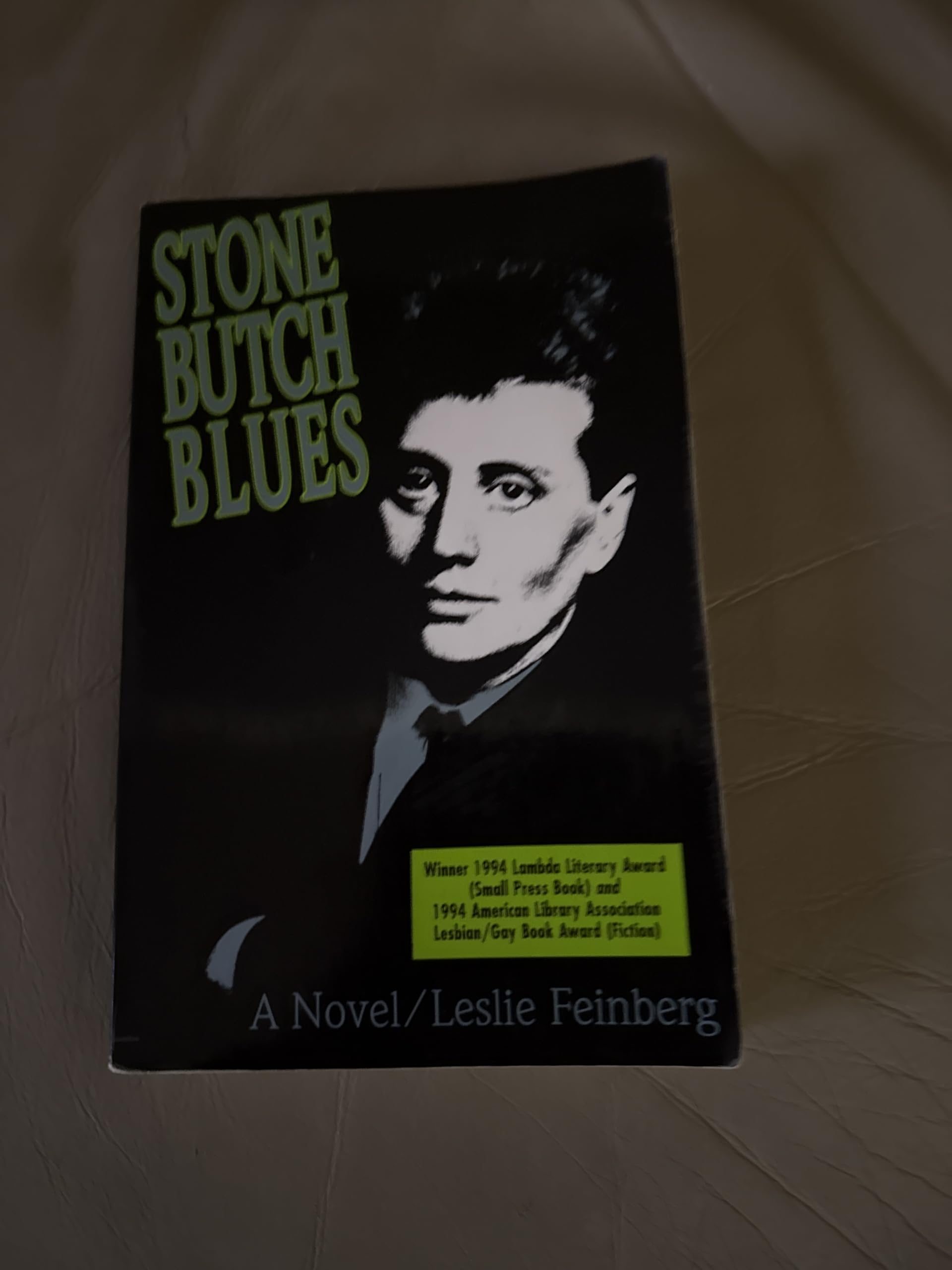 Stone Butch Blues book cover