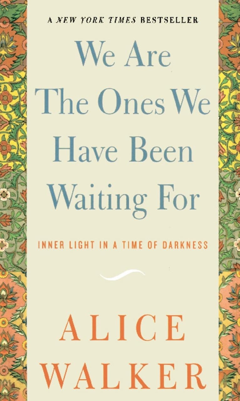 We Are the Ones We Have Been Waiting for: Inner Light in a Time of Darkness book cover