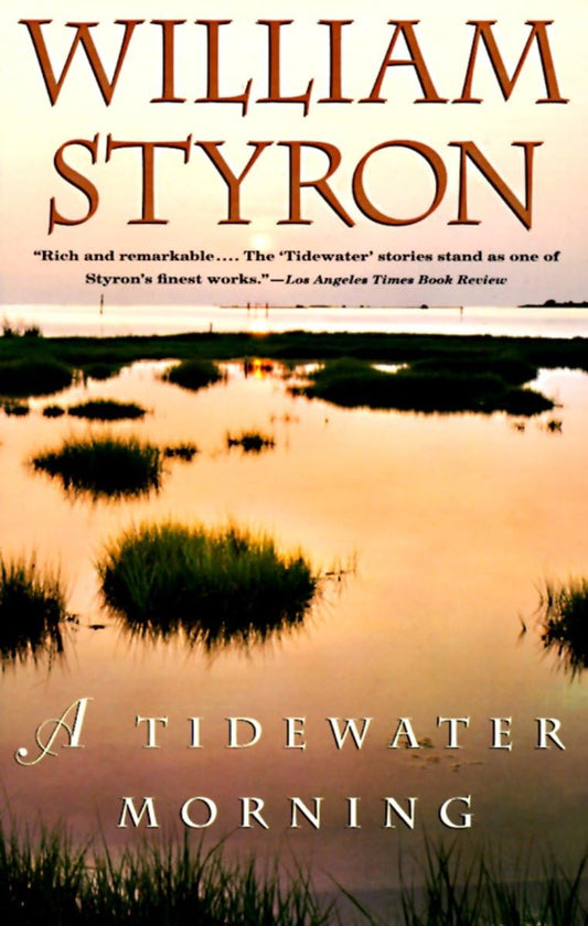 A Tidewater Morning book cover