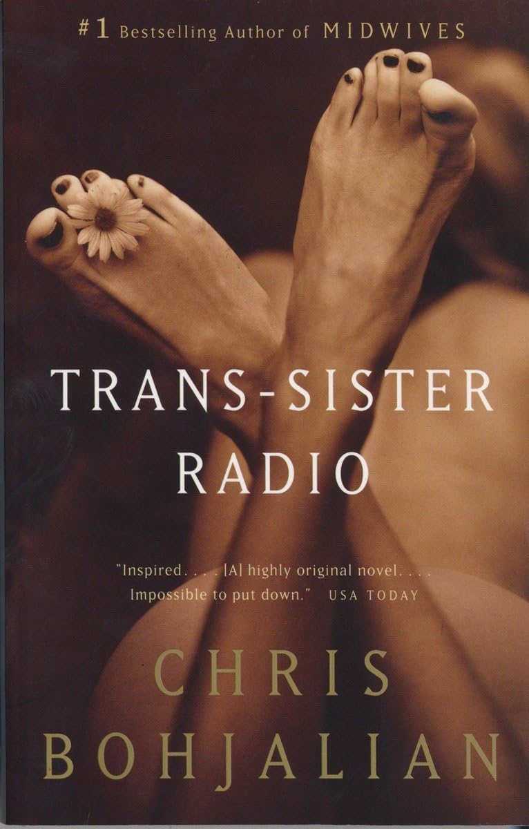 Trans-Sister Radio book cover