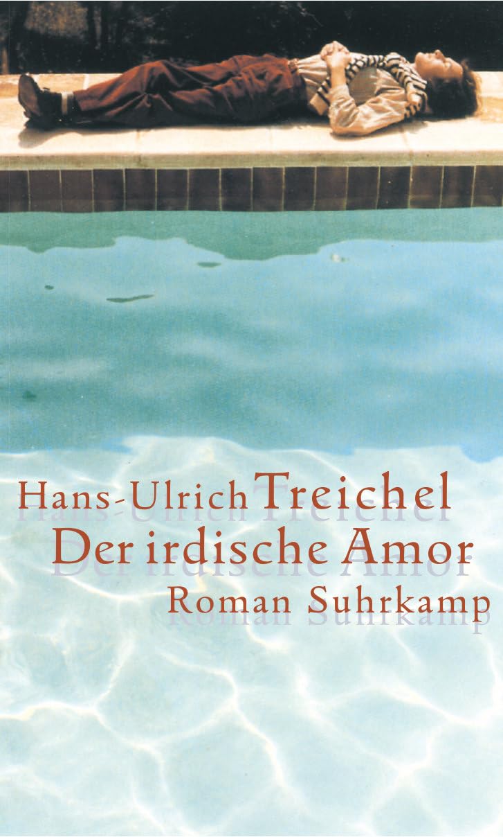 Der Irdische Amor: Roman book cover
