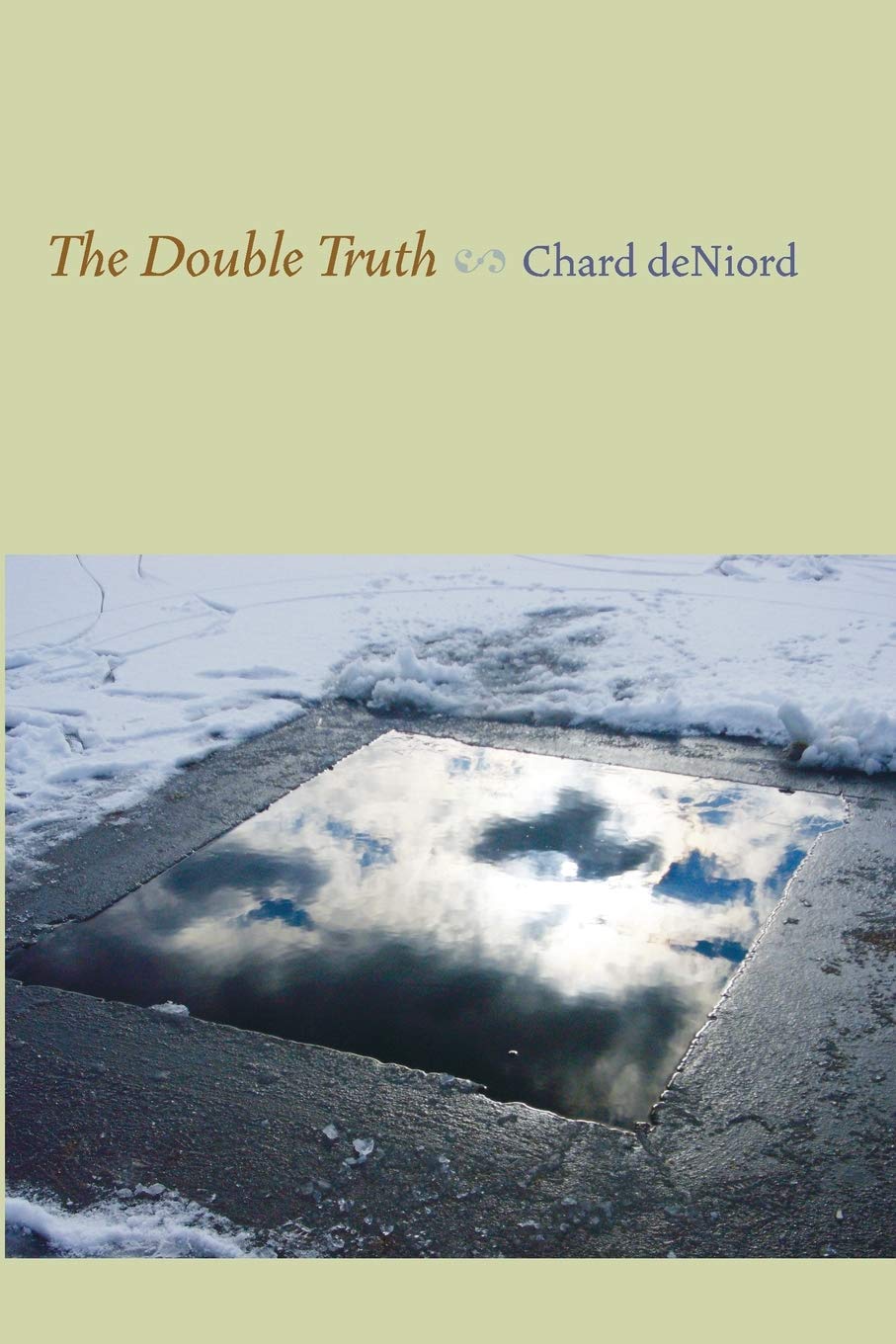 Double Truth book cover