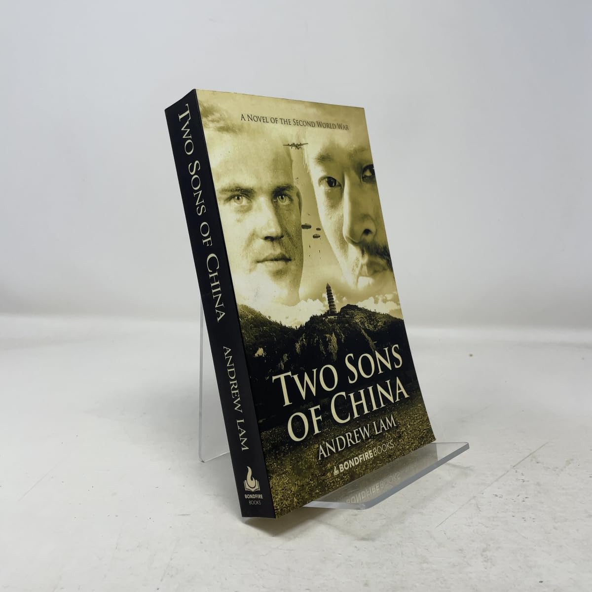 Two Sons of China book cover