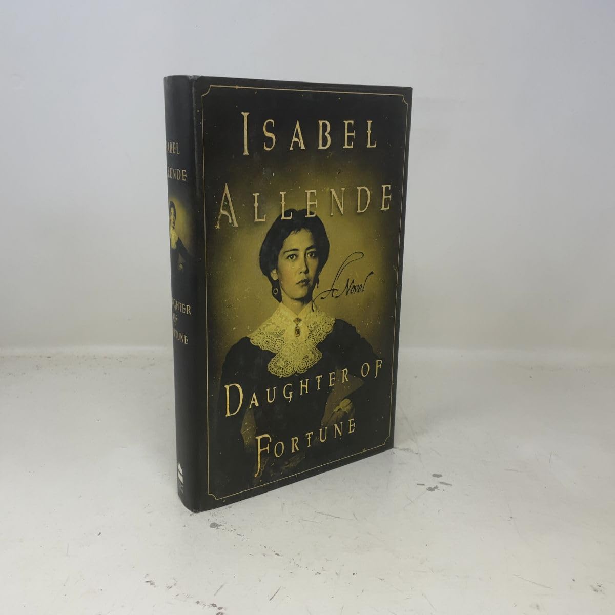 Daughter of Fortune book cover