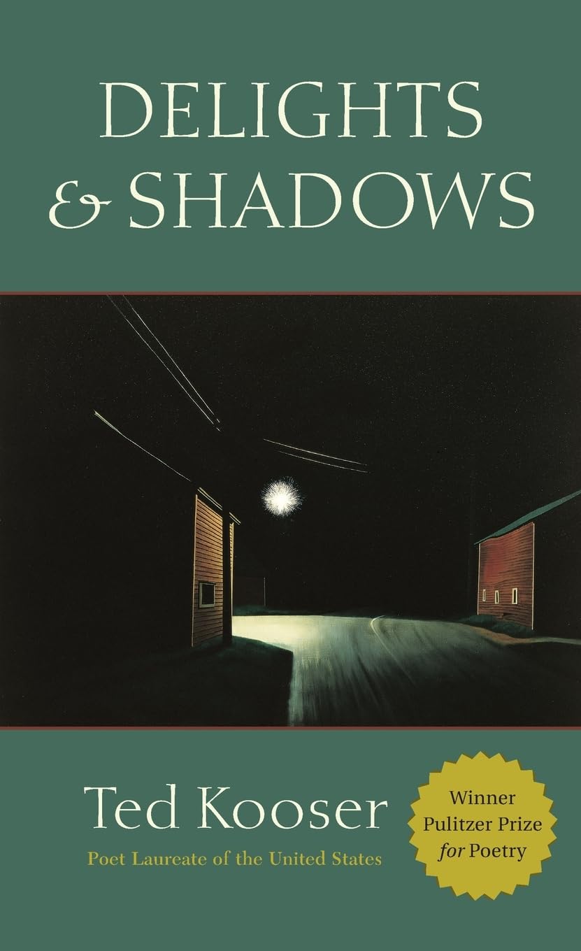 Delights & Shadows book cover