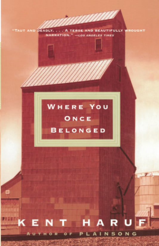 Where You Once Belonged book cover