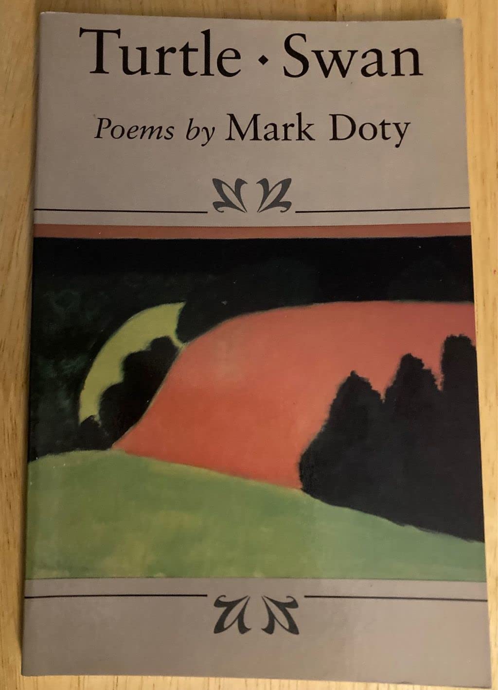 Turtle, Swan: Poems book cover