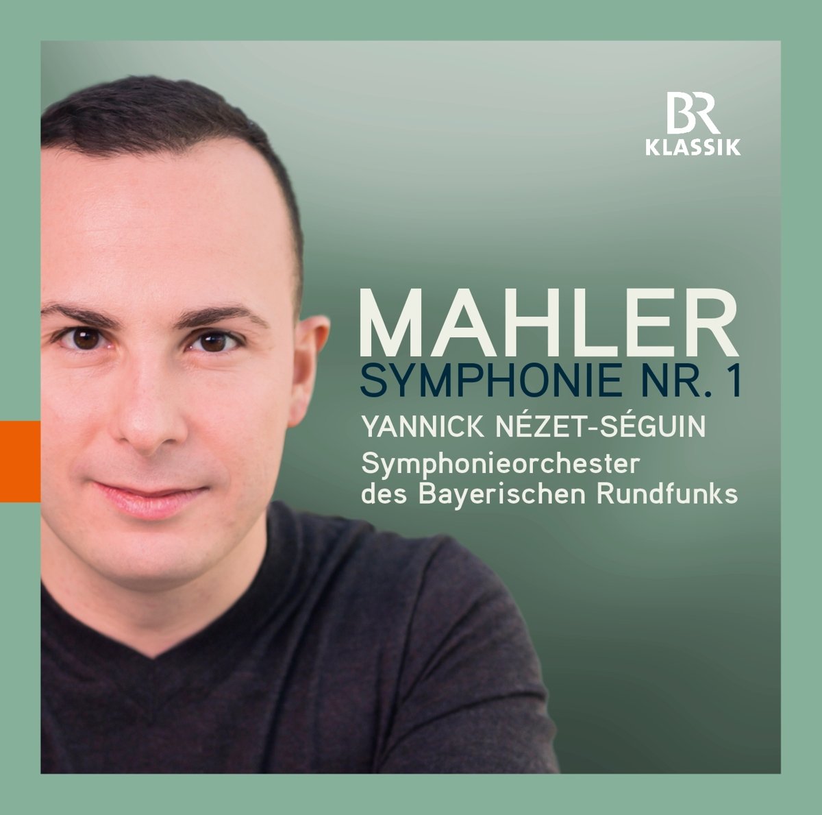 Mahler: Symphony No. 1 book cover