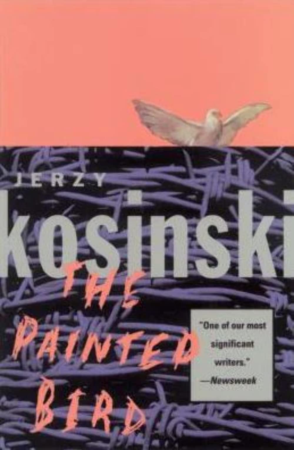 Painted Bird book cover