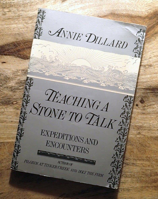 Teaching a Stone to Talk: Expeditions and Encounters