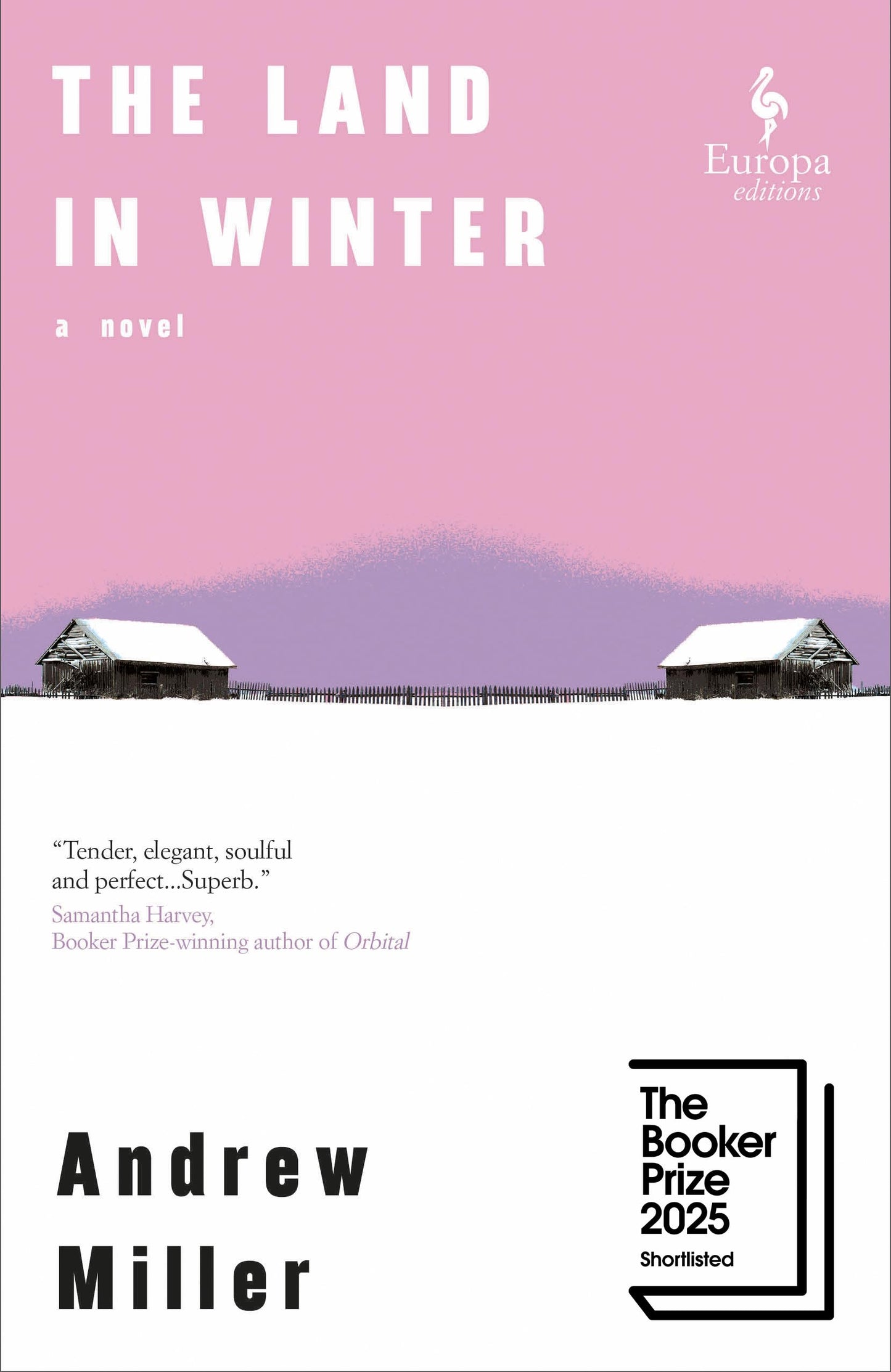 The Land in Winter book cover