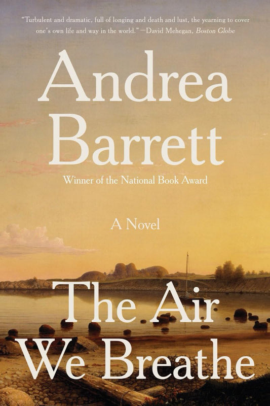 Air We Breathe book cover