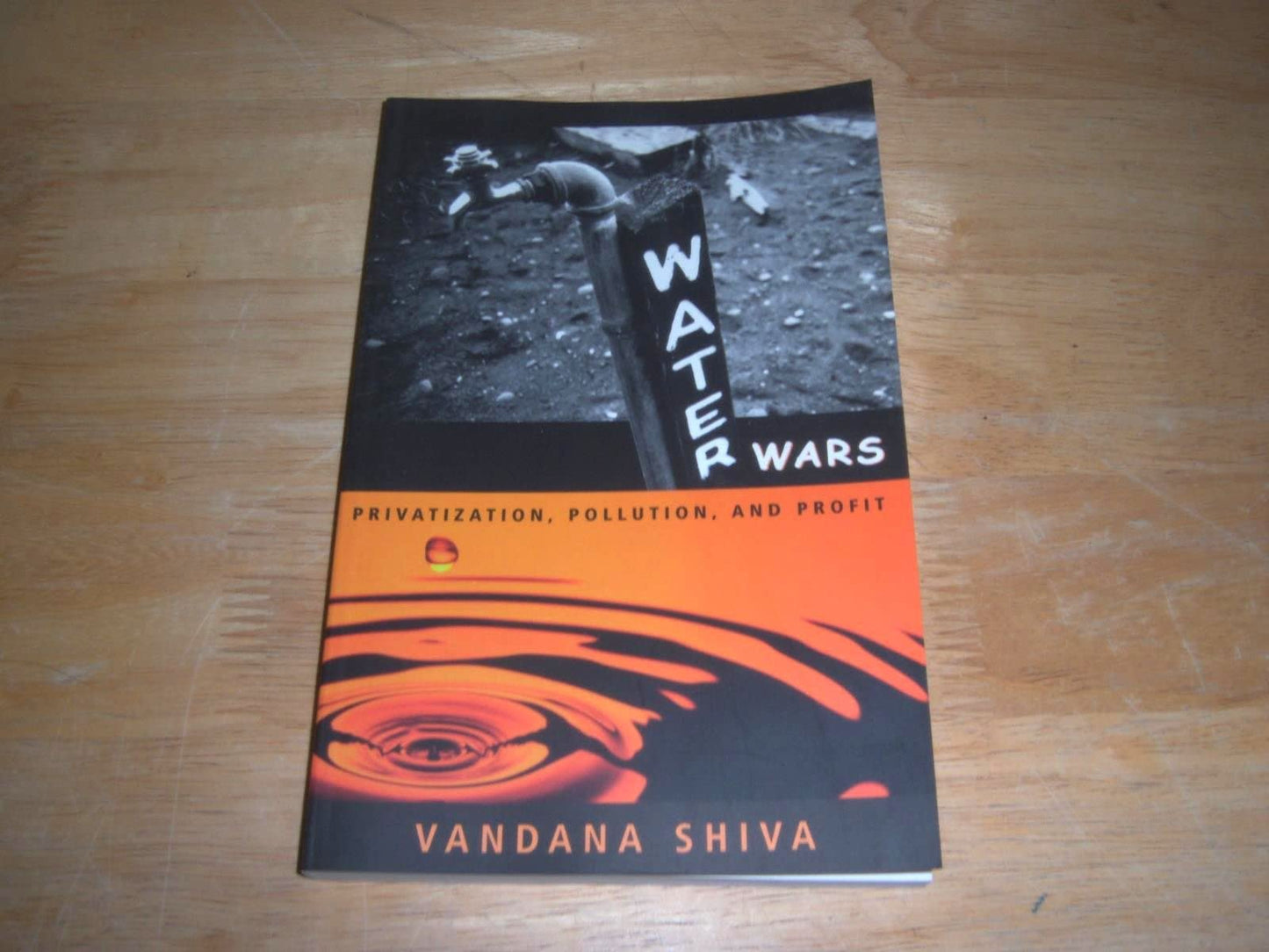 Water Wars: Privatization, Pollution, and Profit book cover