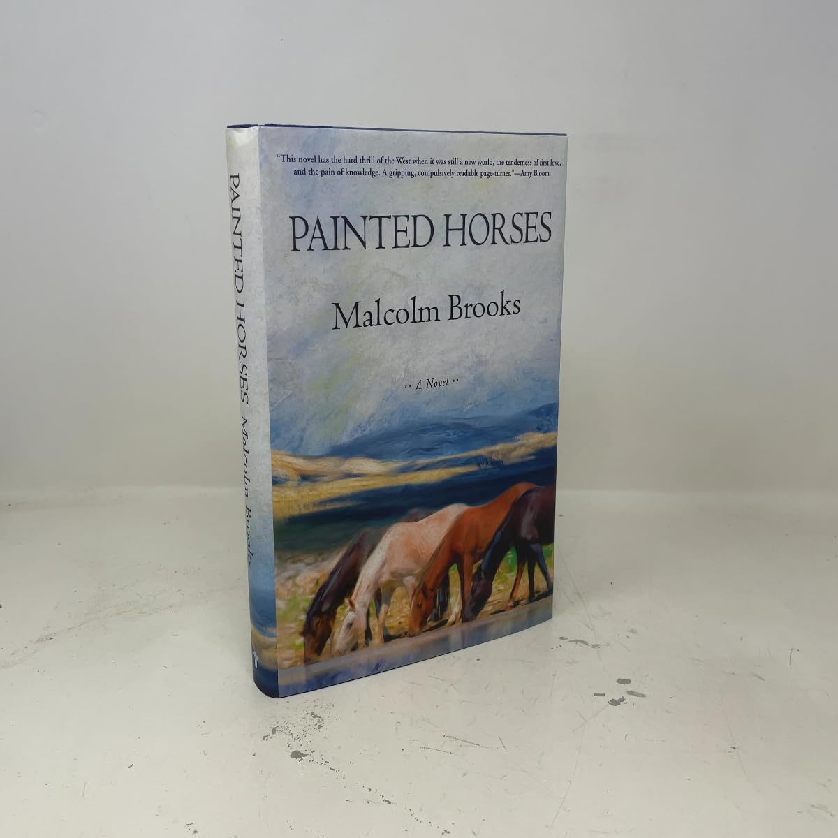 Painted Horses book cover