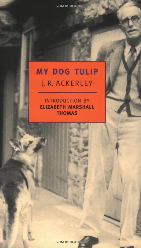 My Dog Tulip book cover