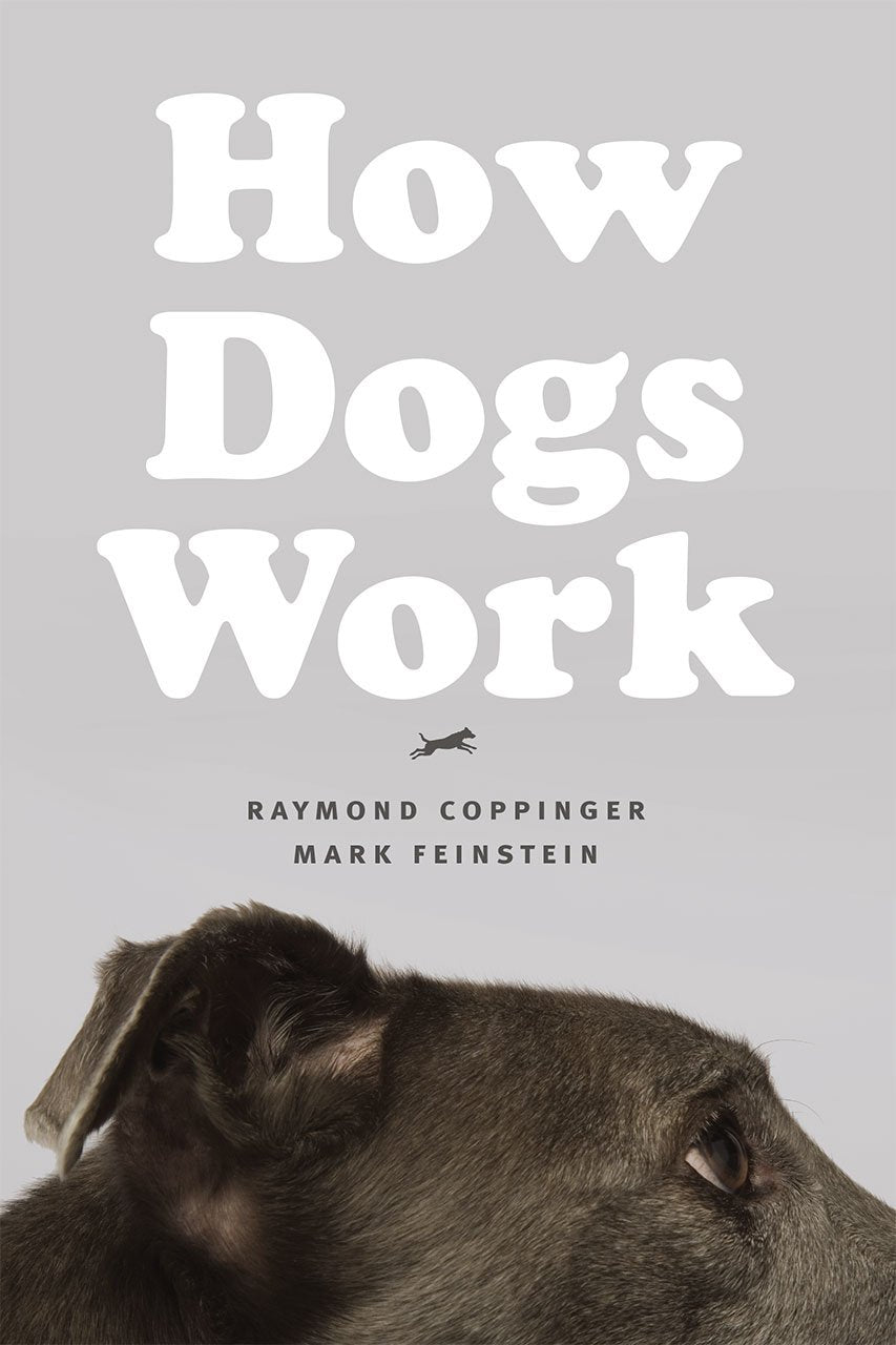 How Dogs Work book cover