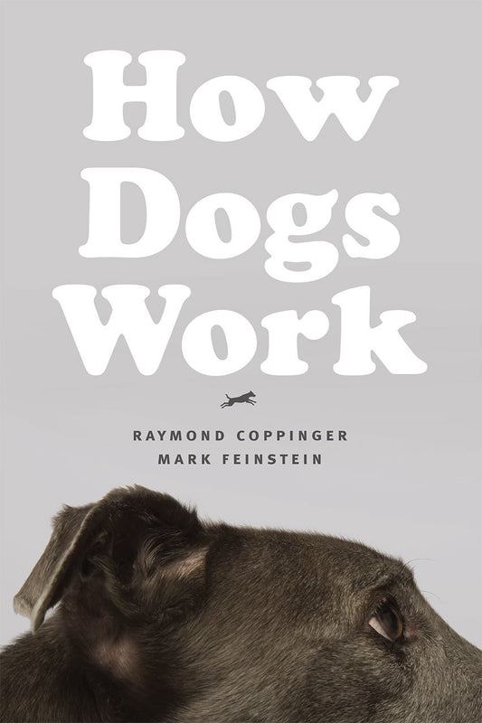 How Dogs Work book cover