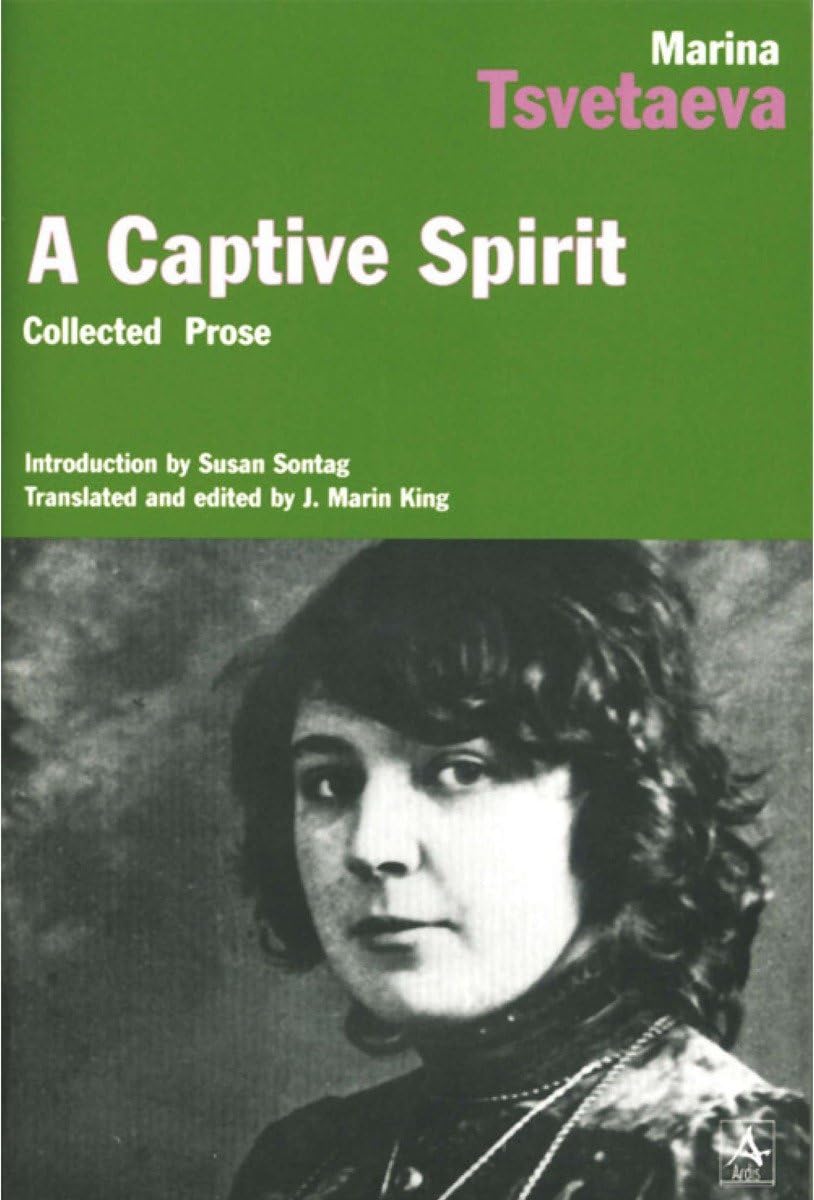 Captive Spirit book cover
