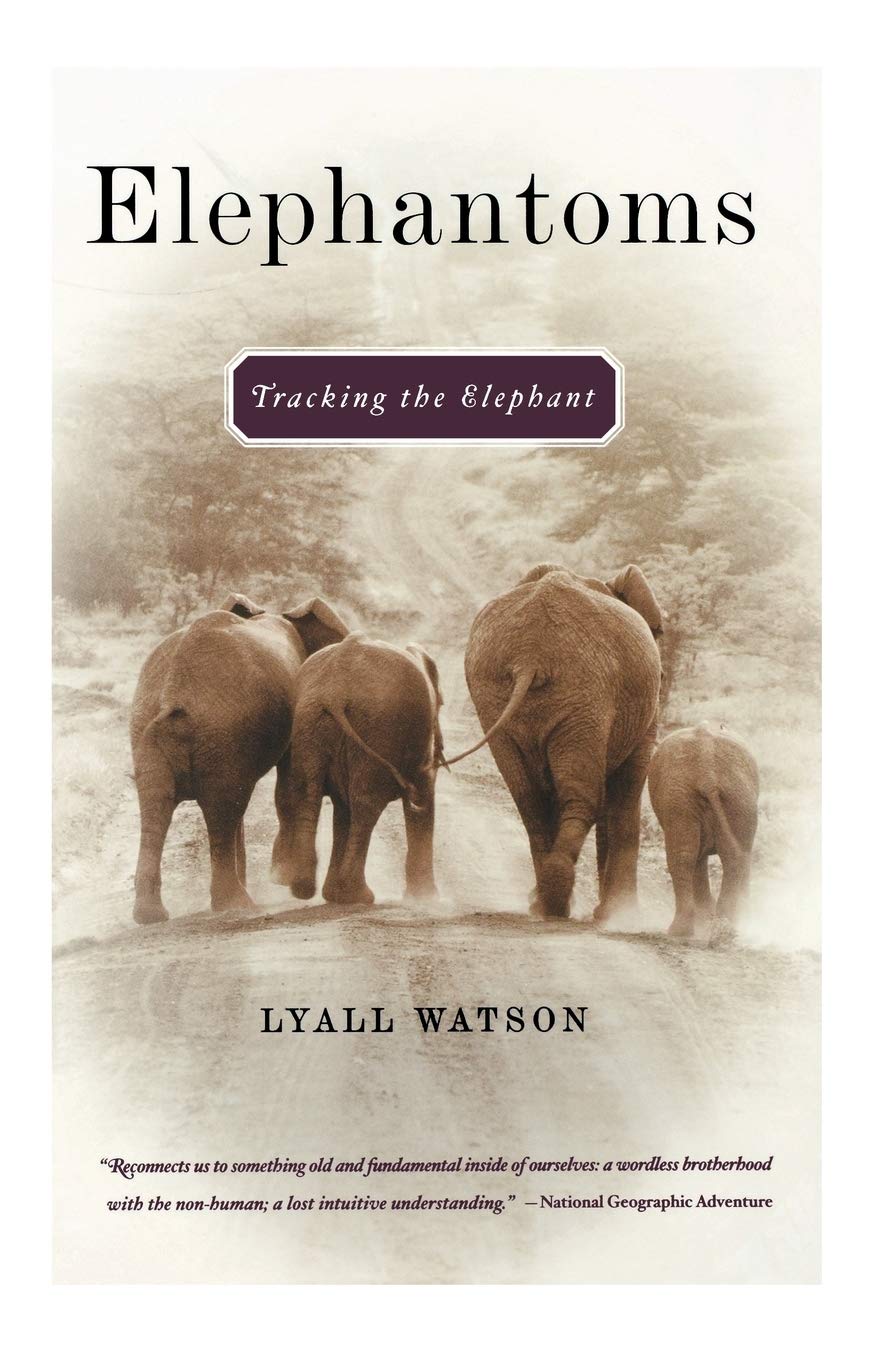 Elephantoms: Tracking the Elephant