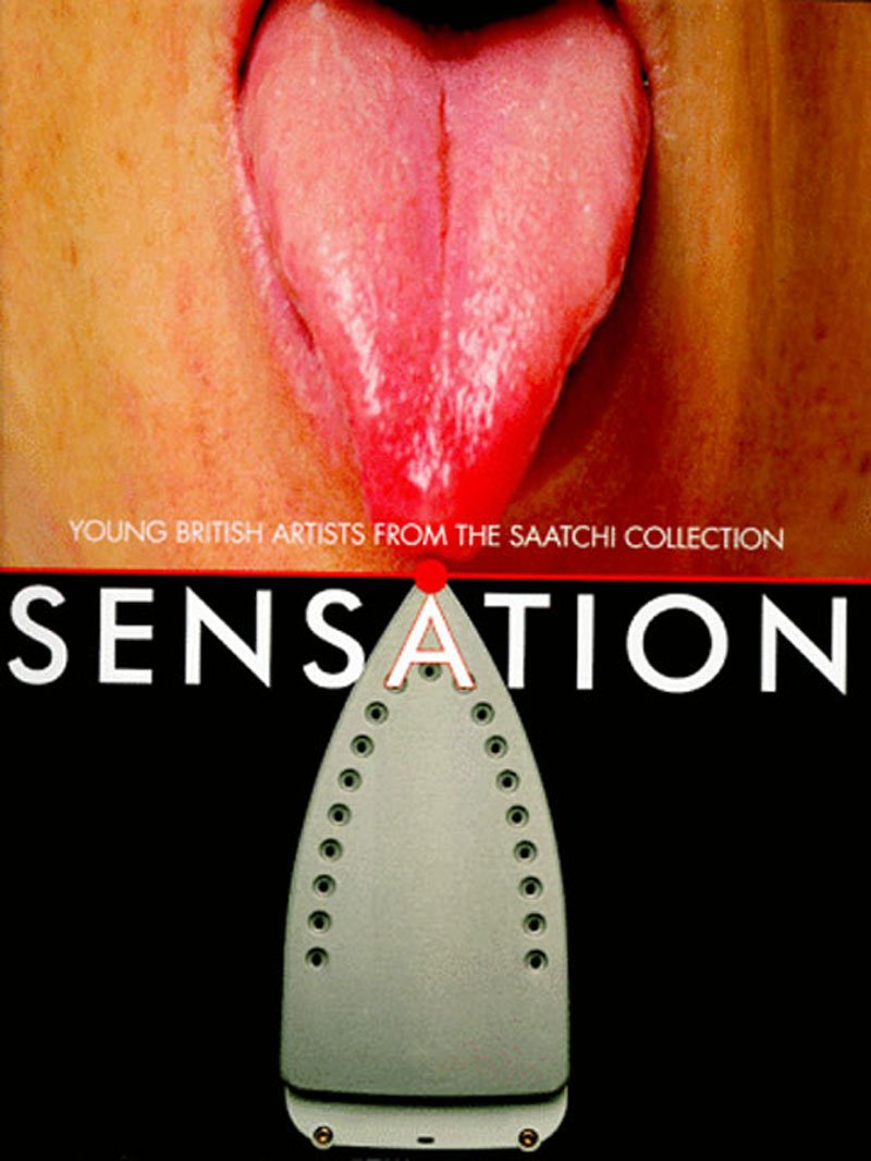 Sensation: Young British Artists from the Saatchi Collection book cover