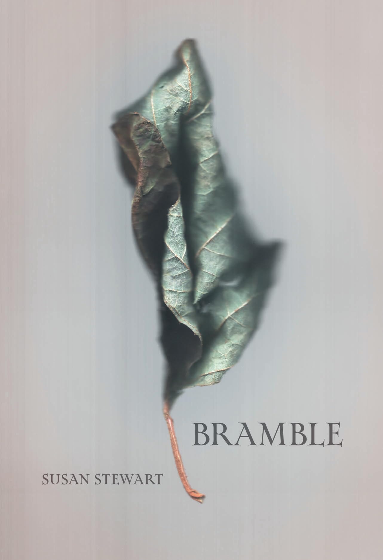Bramble book cover