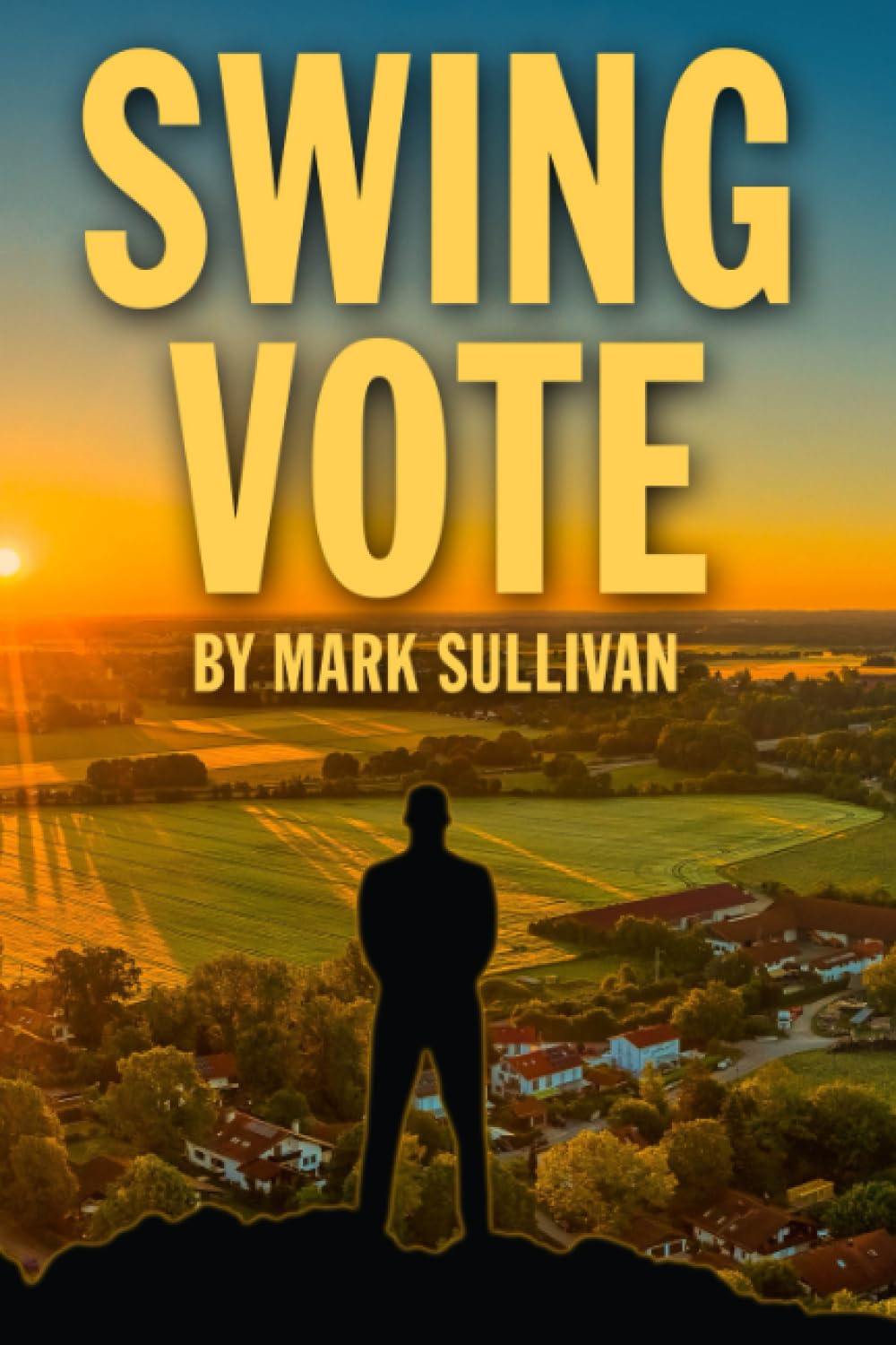 Swing Vote book cover