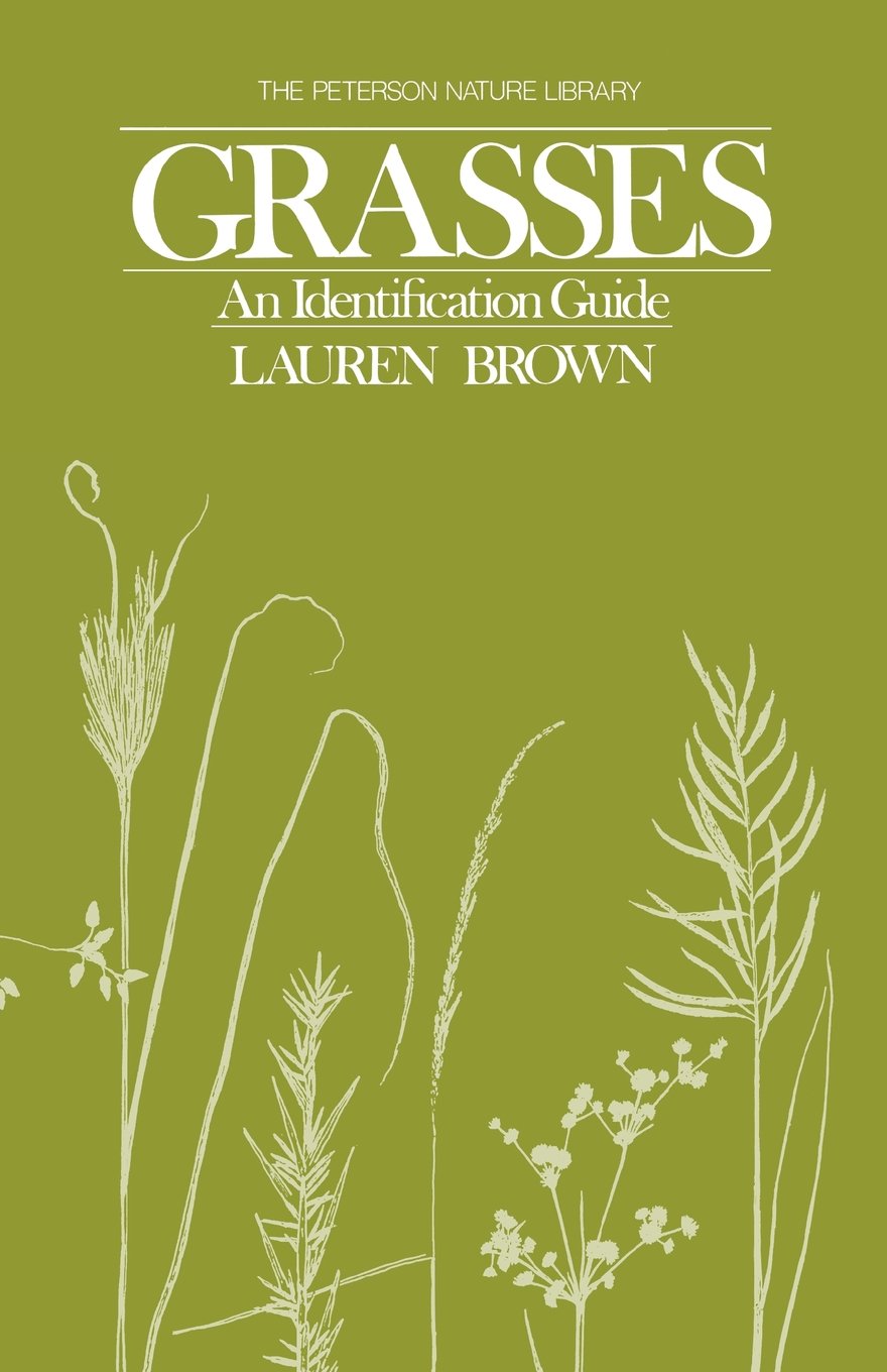 Grasses: An Identification Guide book cover