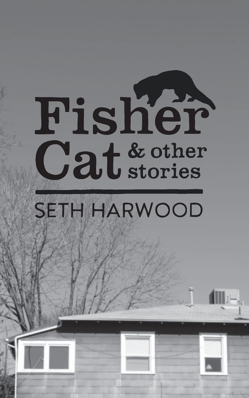 Fisher Cat and other stories book cover