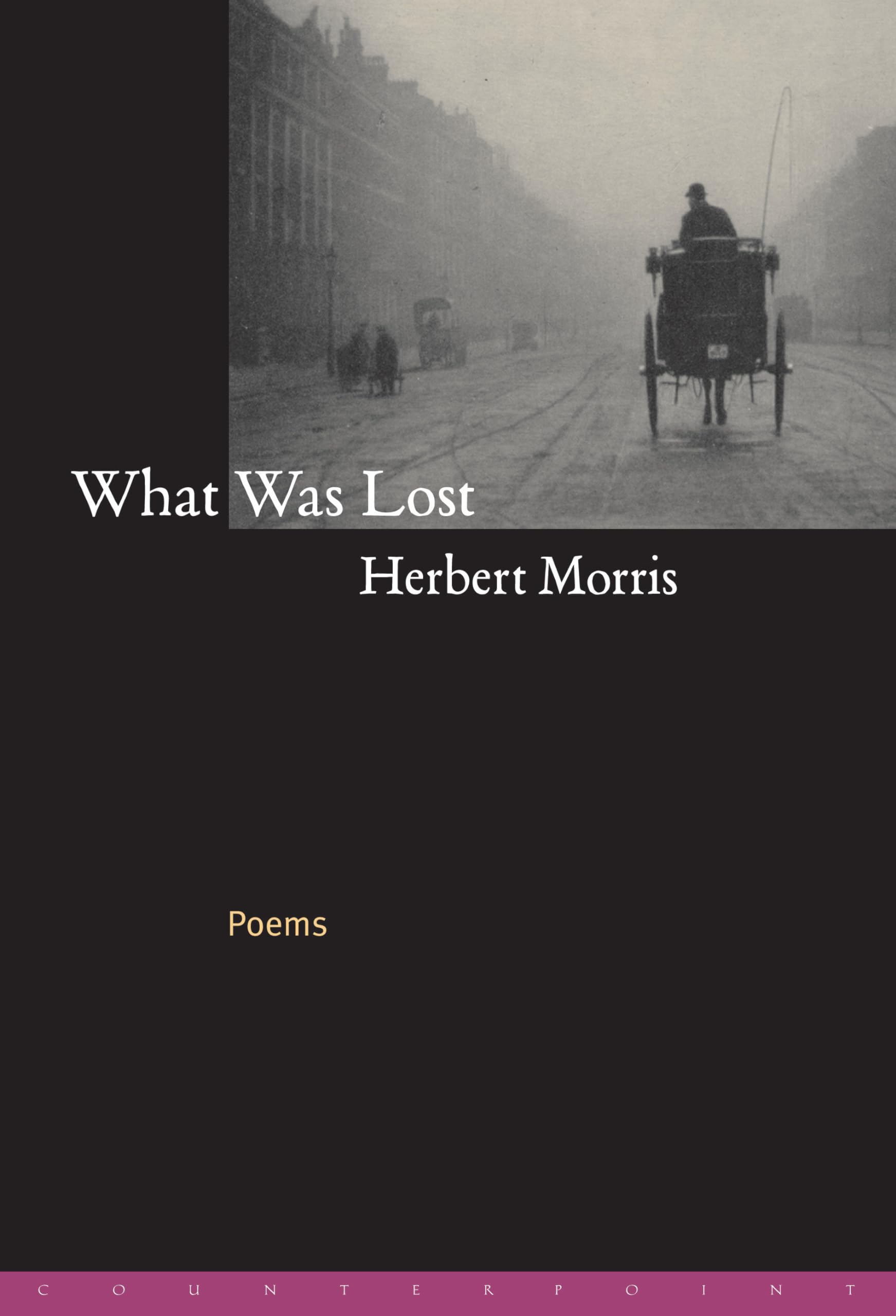 What Was Lost: Poems book cover