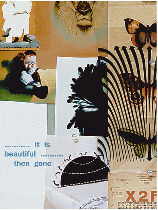 It Is Beautiful... Then Gone book cover