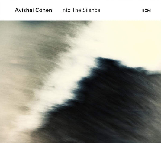 Into the Silence book cover