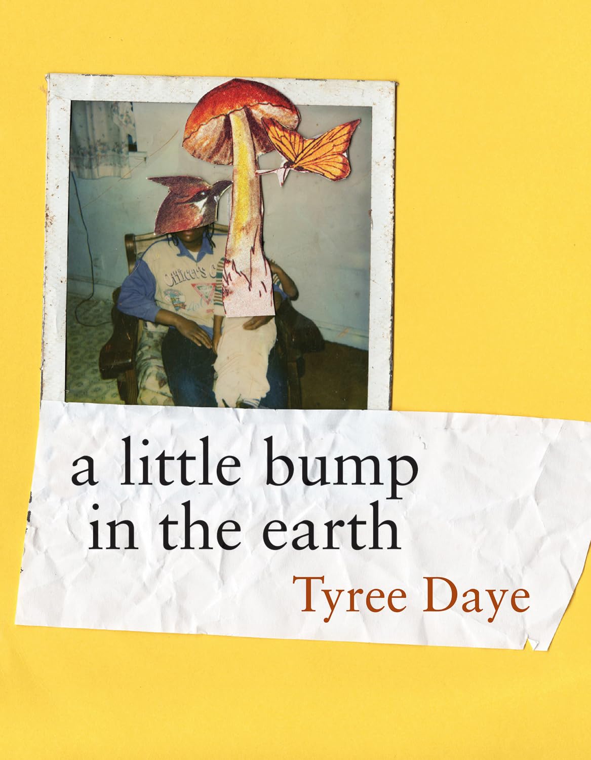 Little Bump in the Earth book cover