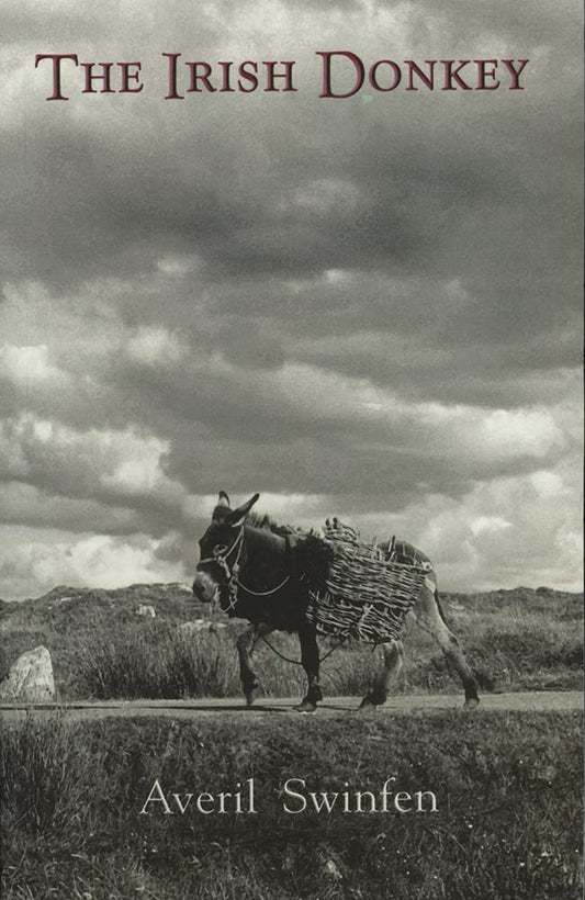 Irish Donkey book cover