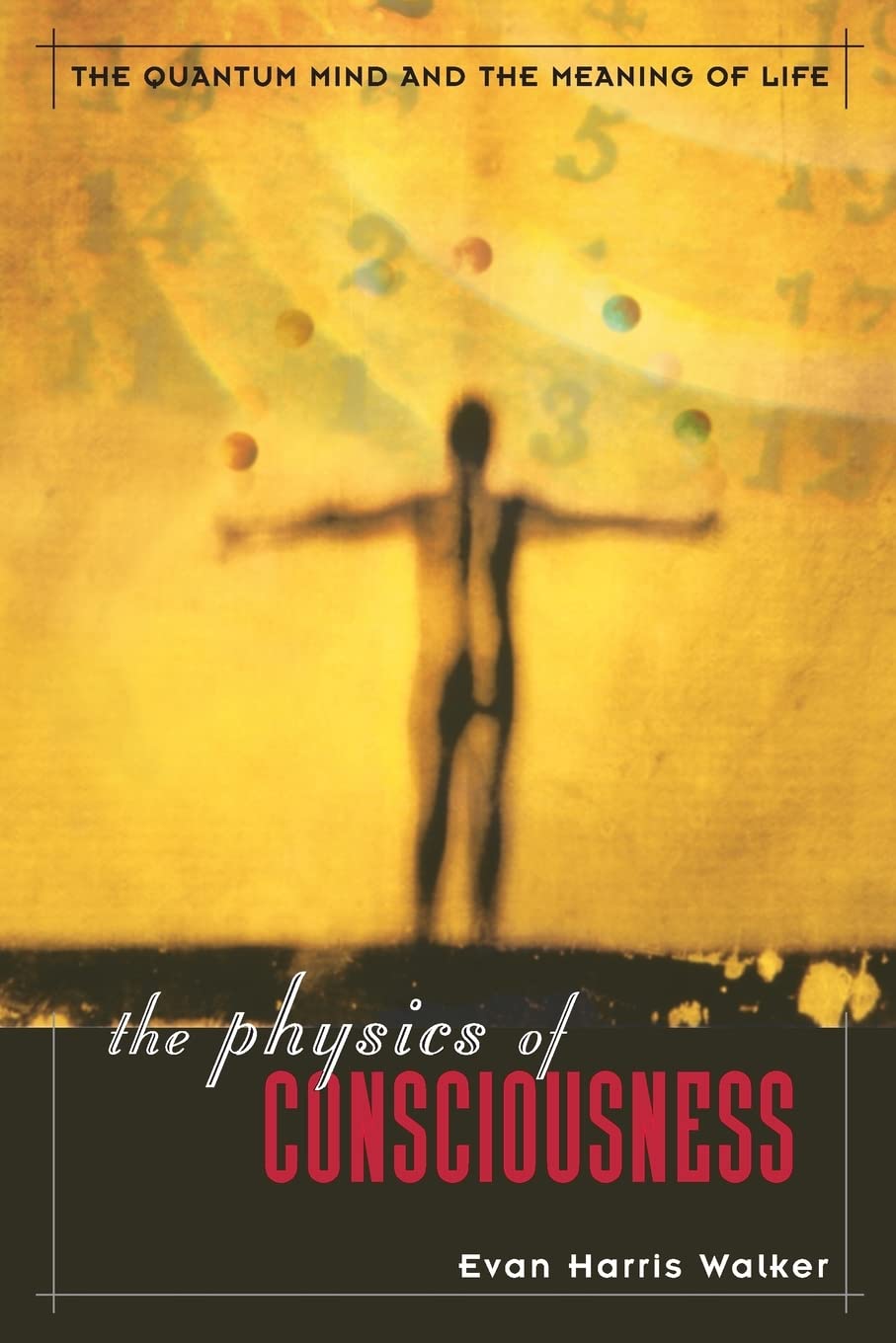 Physics of Consciousness: The Quantum Mind and the Meaning of Life (Revised) book cover