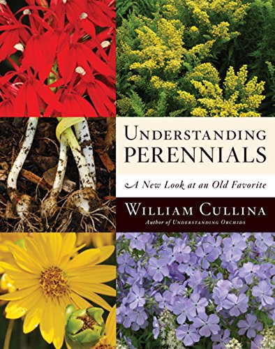 Understanding Perennials: A New Look at an Old Favorite