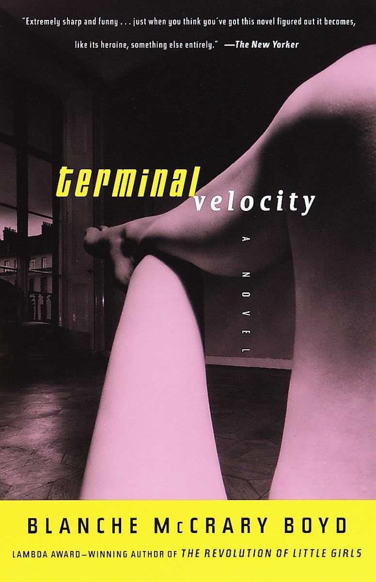 Terminal Velocity book cover