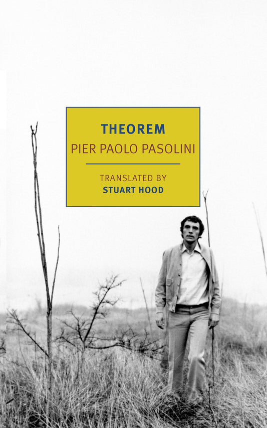 Theorem book cover