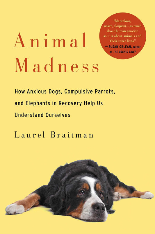 Animal Madness: How Anxious Dogs, Compulsive Parrots, and Elephants in Recovery Help Us Understand Ourselves book cover
