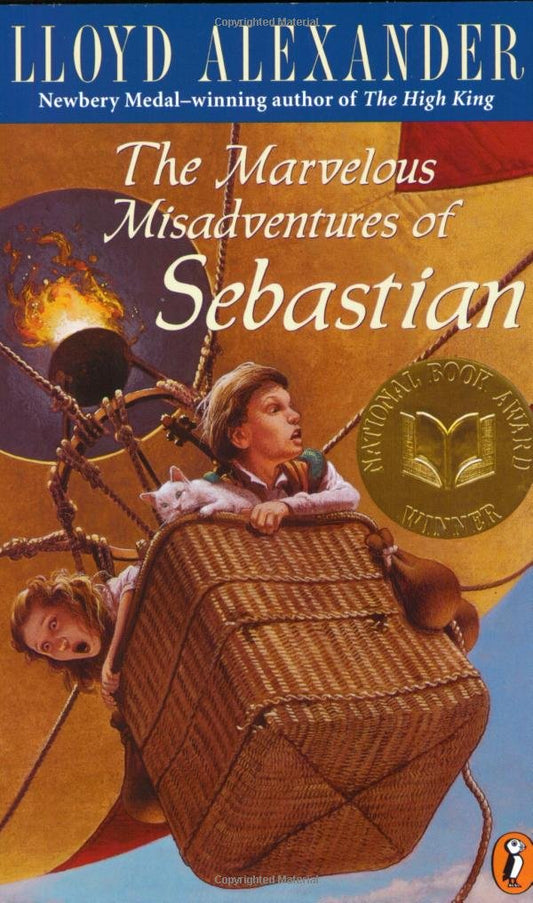 The Marvelous Misadventures of Sebastian book cover
