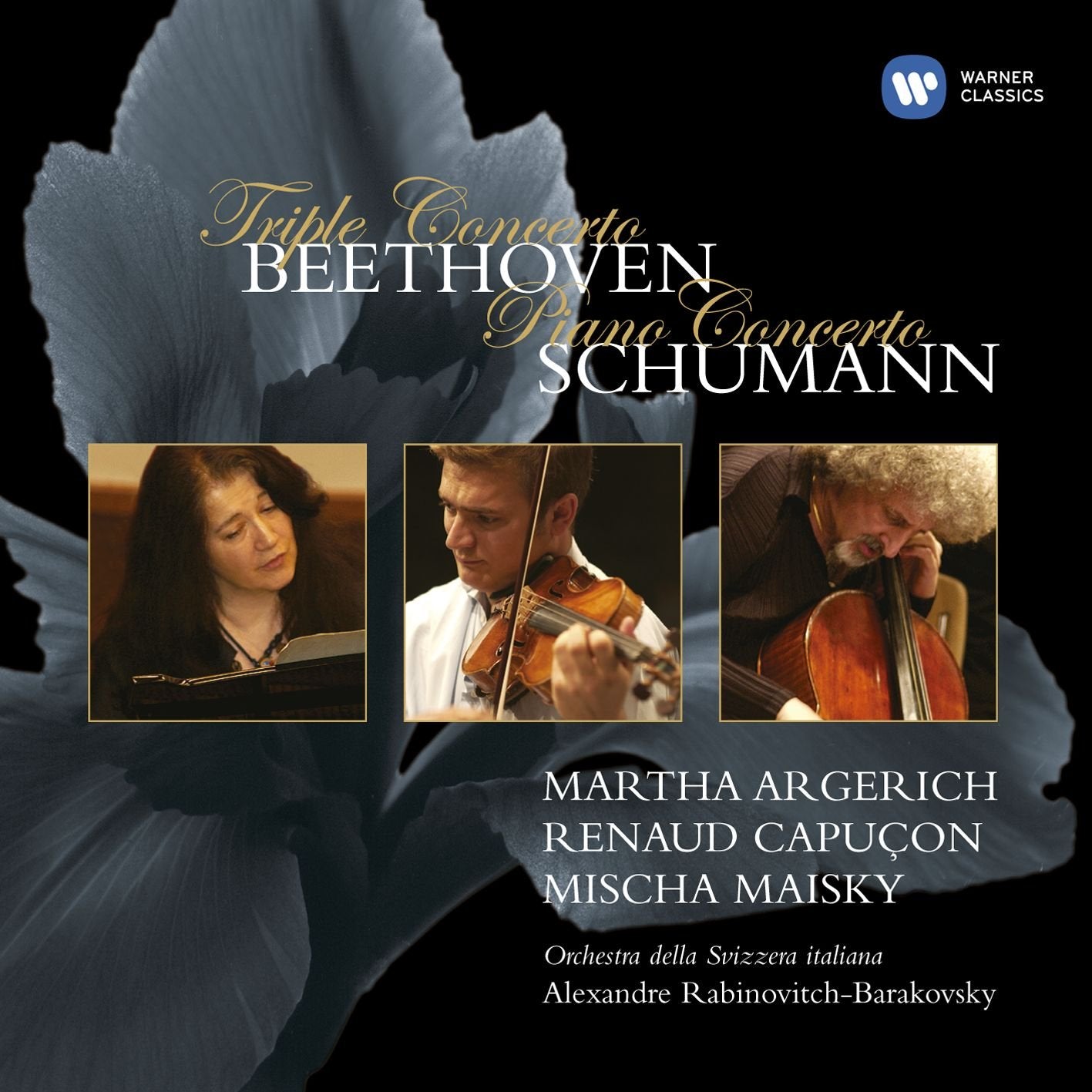Triple Concerto book cover