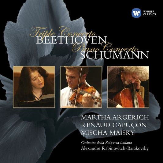 Triple Concerto book cover