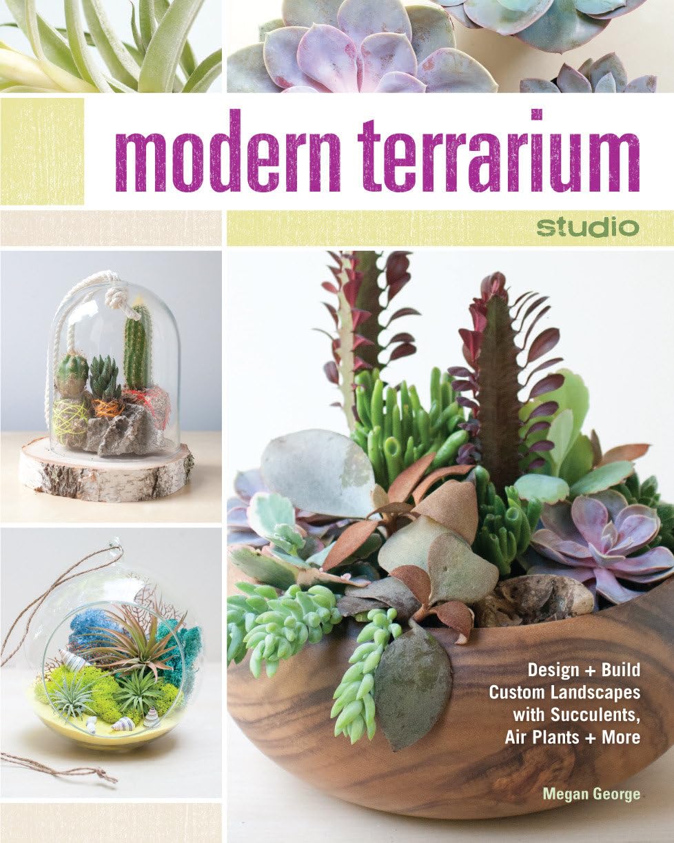 Modern Terrarium Studio: Design + Build Custom Landscapes with Succulents, Air Plants + More book cover