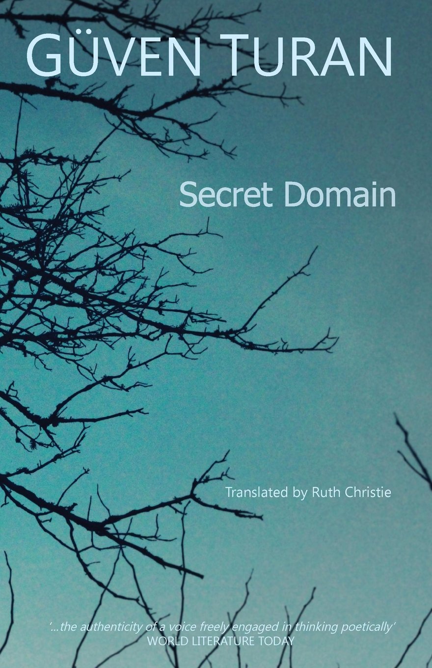 Secret Domain book cover
