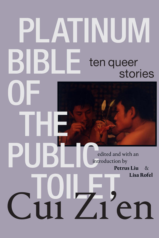 Platinum Bible of the Public Toilet: Ten Queer Stories book cover