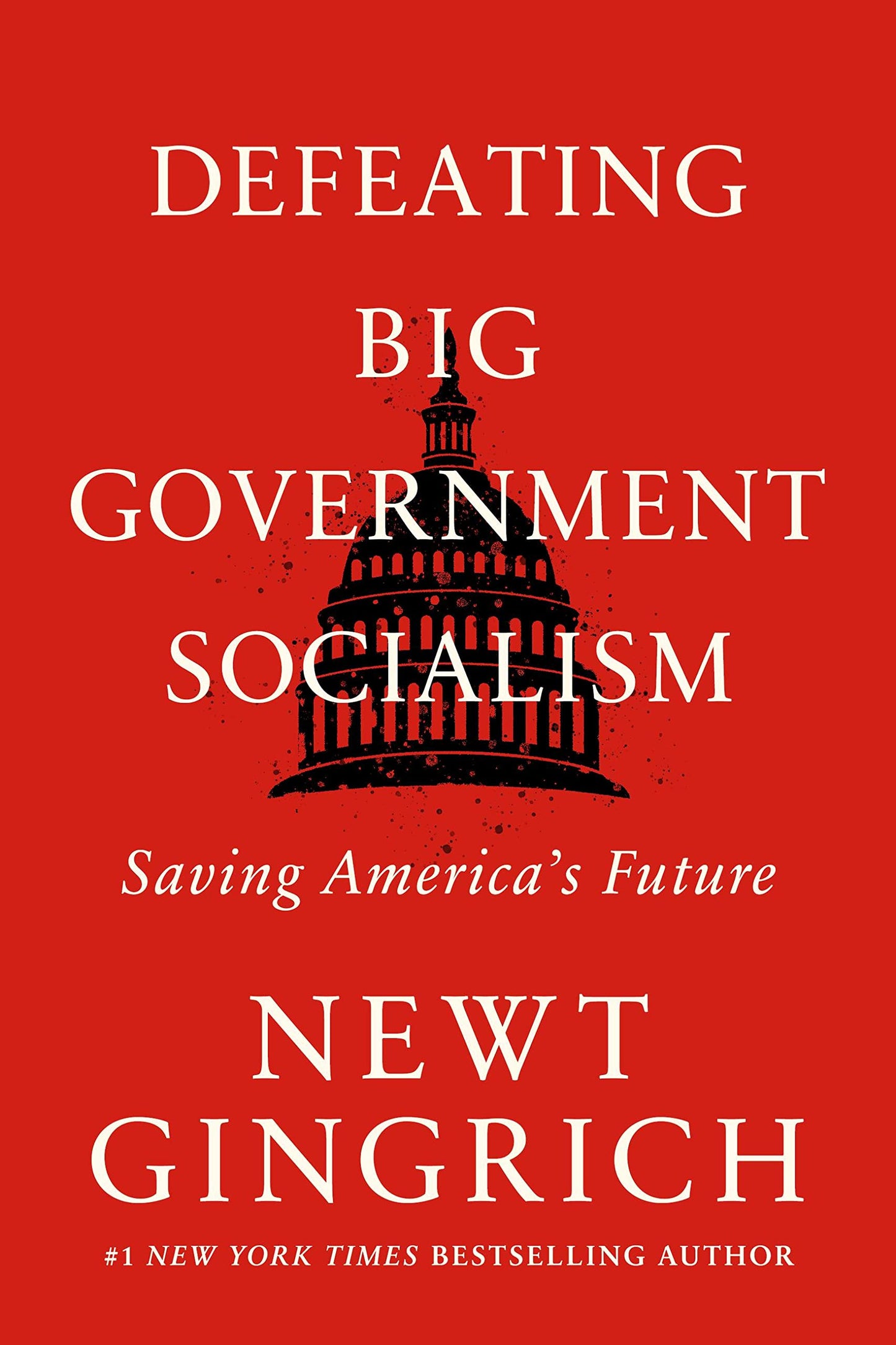 Defeating Big Government Socialism: Saving America's Future book cover