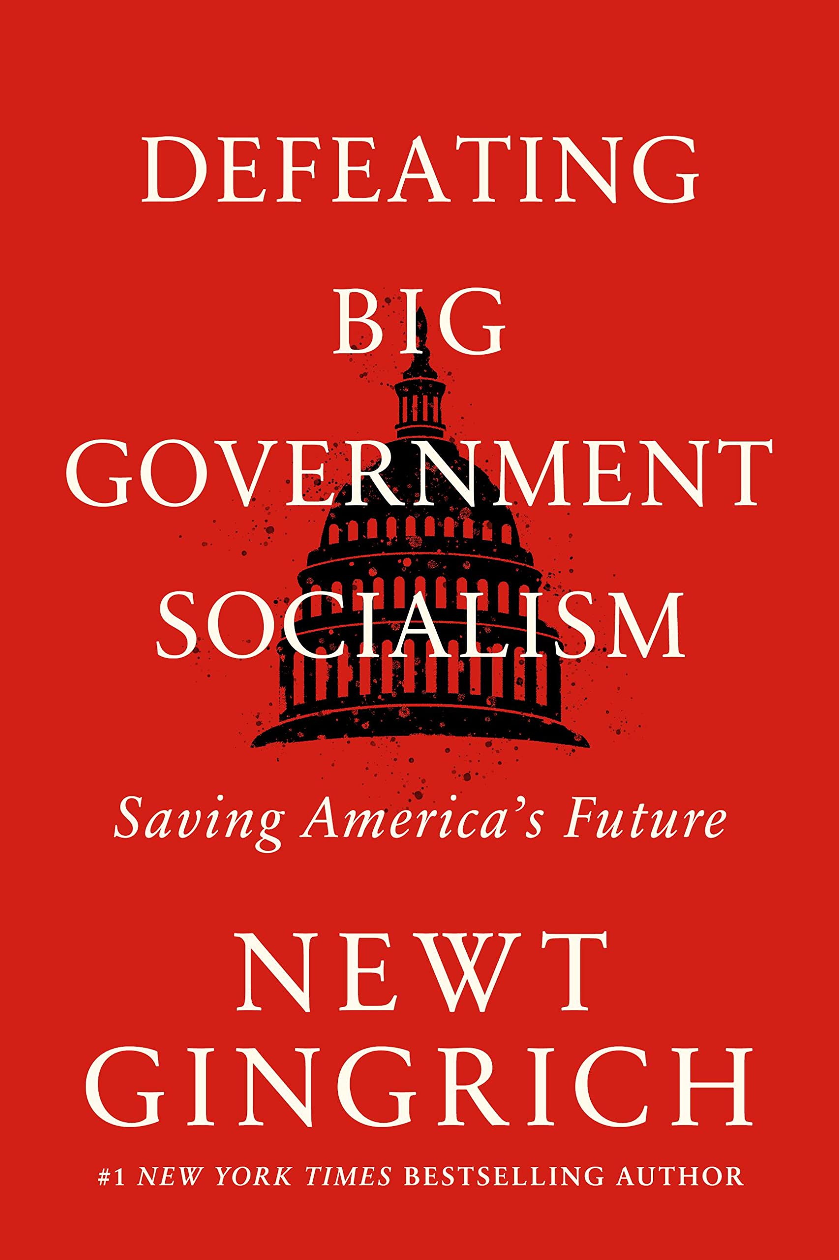 Defeating Big Government Socialism: Saving America's Future book cover