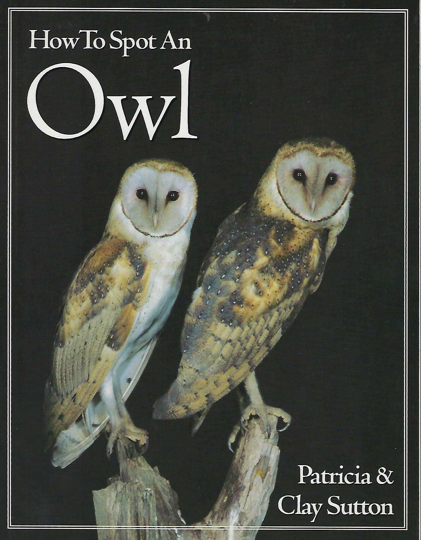 How to Spot an Owl book cover